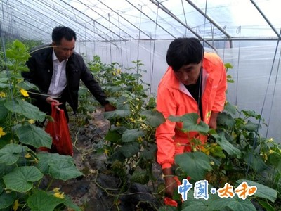 县农委加大农产品质量监管 确保“三夏”期间农产品质量安全
